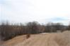 40 ACRES GLOVER Road   - Morse Real Estate Iowa and Nebraska Real Estate